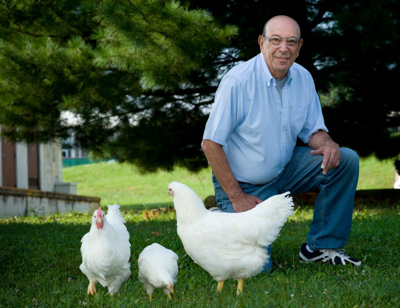 Poultry geneticist Paul Siegel traces storied career once more to roots in 4-H