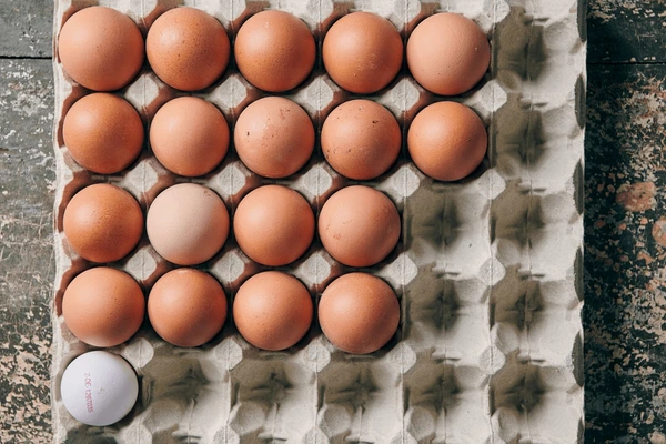 Insights into March’s Completely different Tendencies in U.S. Egg Manufacturing