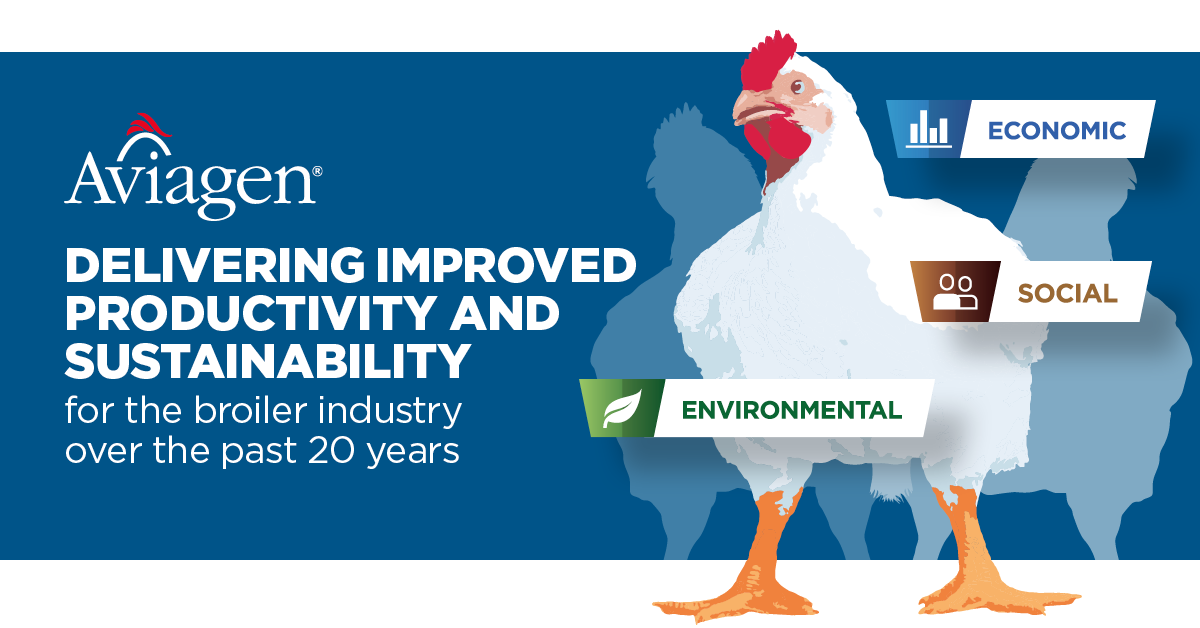 The Information is in – Balanced Breeding Brings Improved Productiveness and Sustainability to the Broiler Enterprise