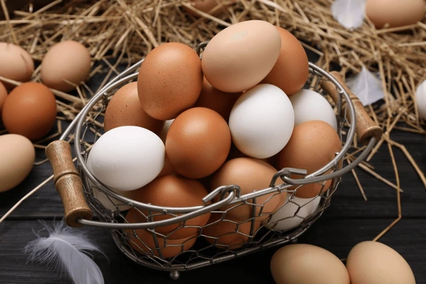 The Rising Worth of Eggs: How Avian Flu is Driving Prices Up